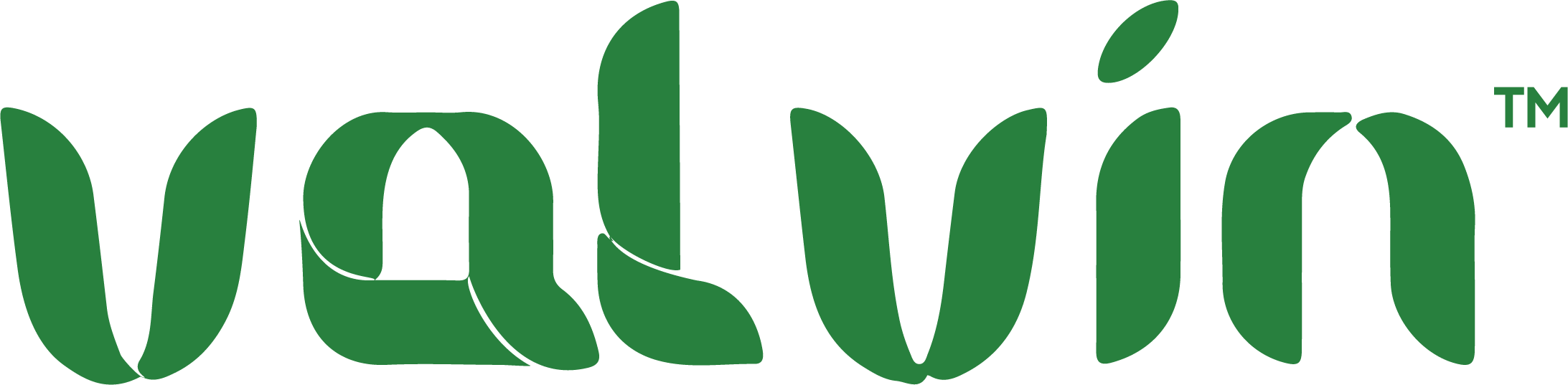 Valvin – Adds Value to Nutrition