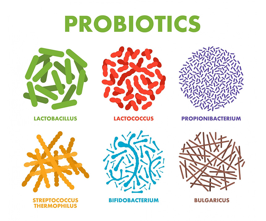Probiotics