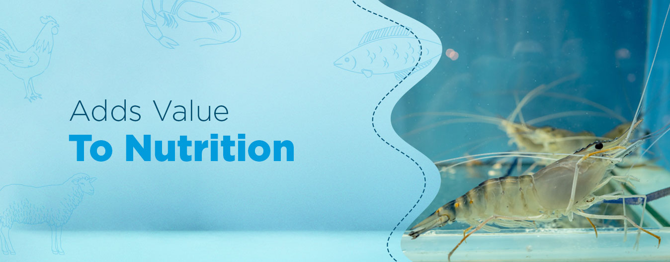 Home Valvin Adds Value to Nutrition